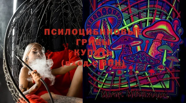 твердый Абаза
