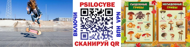 магазин продажи   Благовещенск  Псилоцибиновые грибы мицелий 
