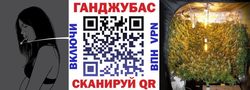 Каннабис гибрид дарнет шоп Благовещенск